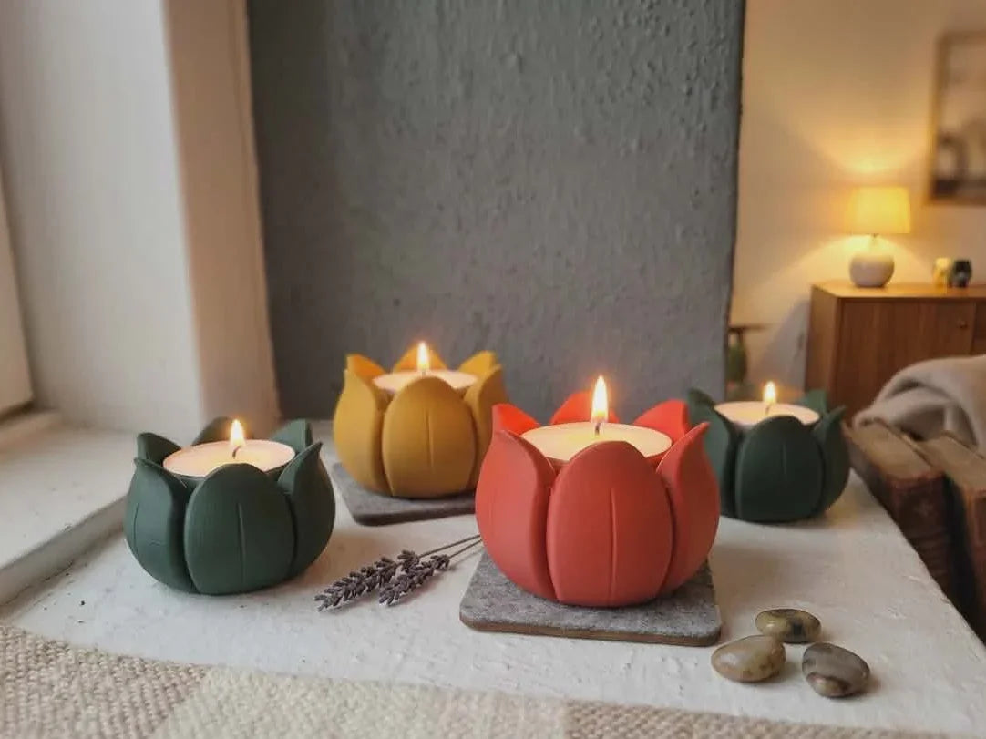Tulipan Lysestage